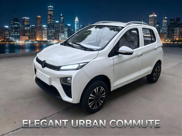 Li Mao Tong Electric Vehicle: New Interior Upgrade, Elevate Your Driving Experience