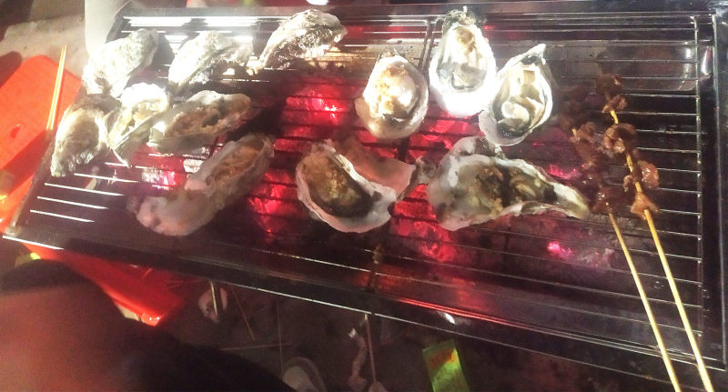 Charcoal Grill, Barbecue Grill Stainless Steel BBQ Smoker