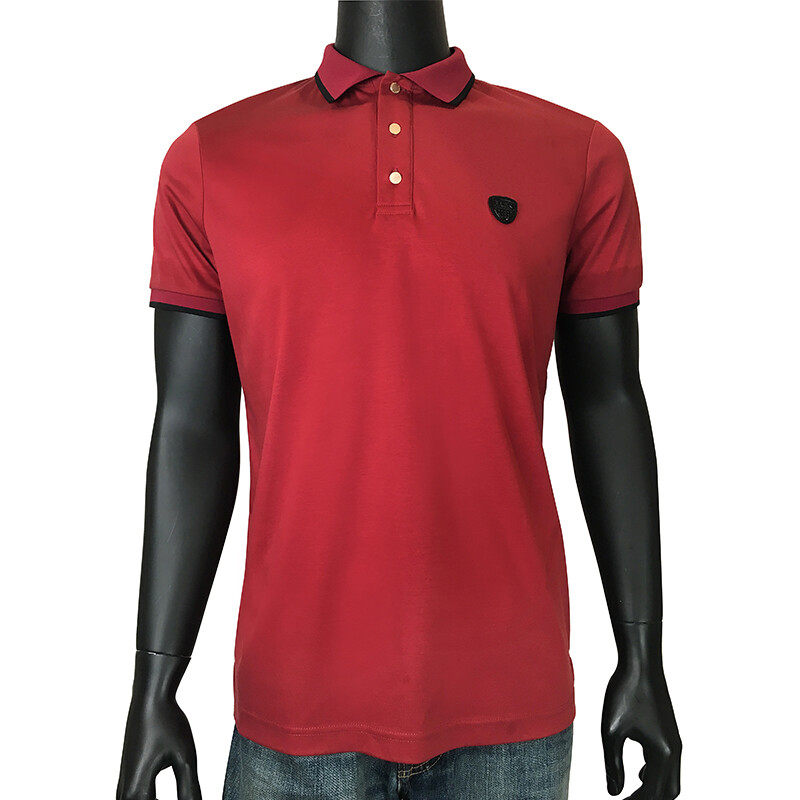 Polo T-Shirt With  A Small Logo