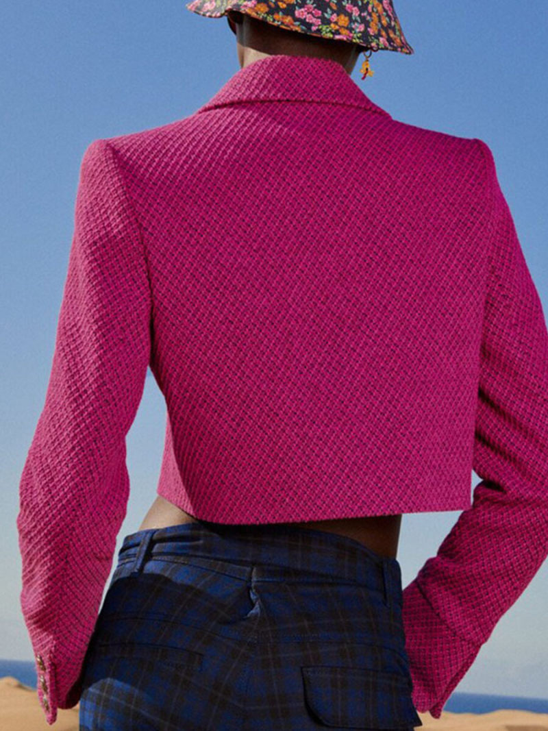 Brief paragraph tweed suit jacket