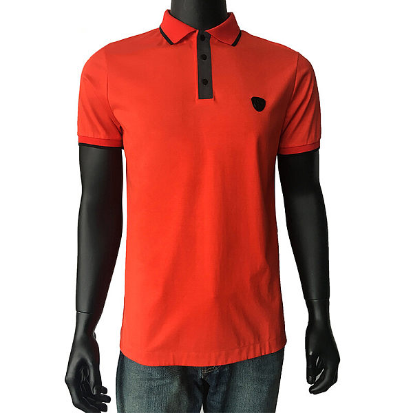 Polo T-Shirt With  A Small Logo
